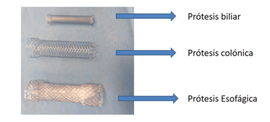 Endoscopia Gastrointestinal Leon Gto